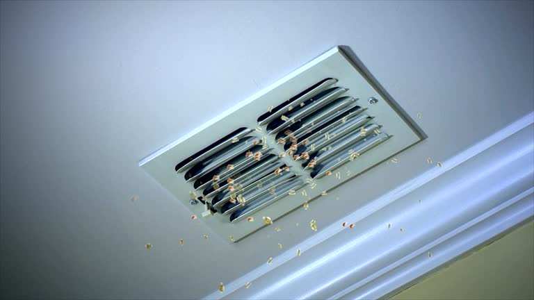 Best Air Duct Cleaning Company Near Me  in Lacon, IL