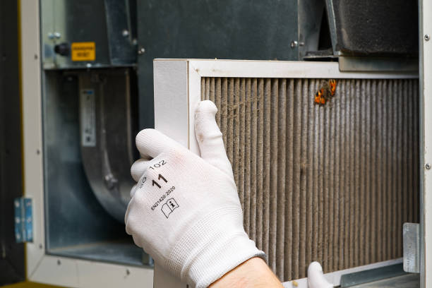 Best Home Air Vent Cleaning  in Lacon, IL