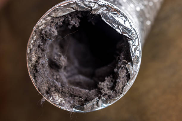 Best Air Duct Cleaning Near Me  in Lacon, IL